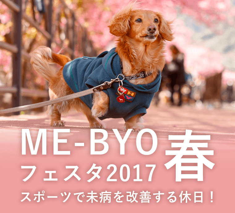 ME-BYOフェスタ2017春